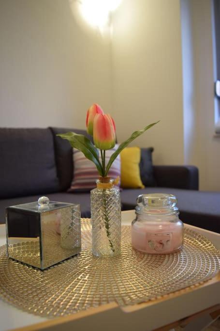 Brand New Lovely Apartment Bella Дубровник Экстерьер фото